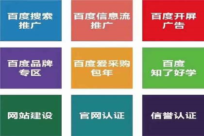 案例分析：成功SEM托管策略全解析